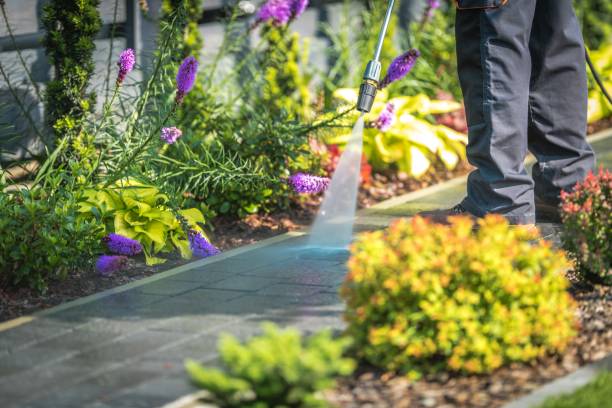 Best Sidewalk and Walkway Cleaning  in Toona, AL